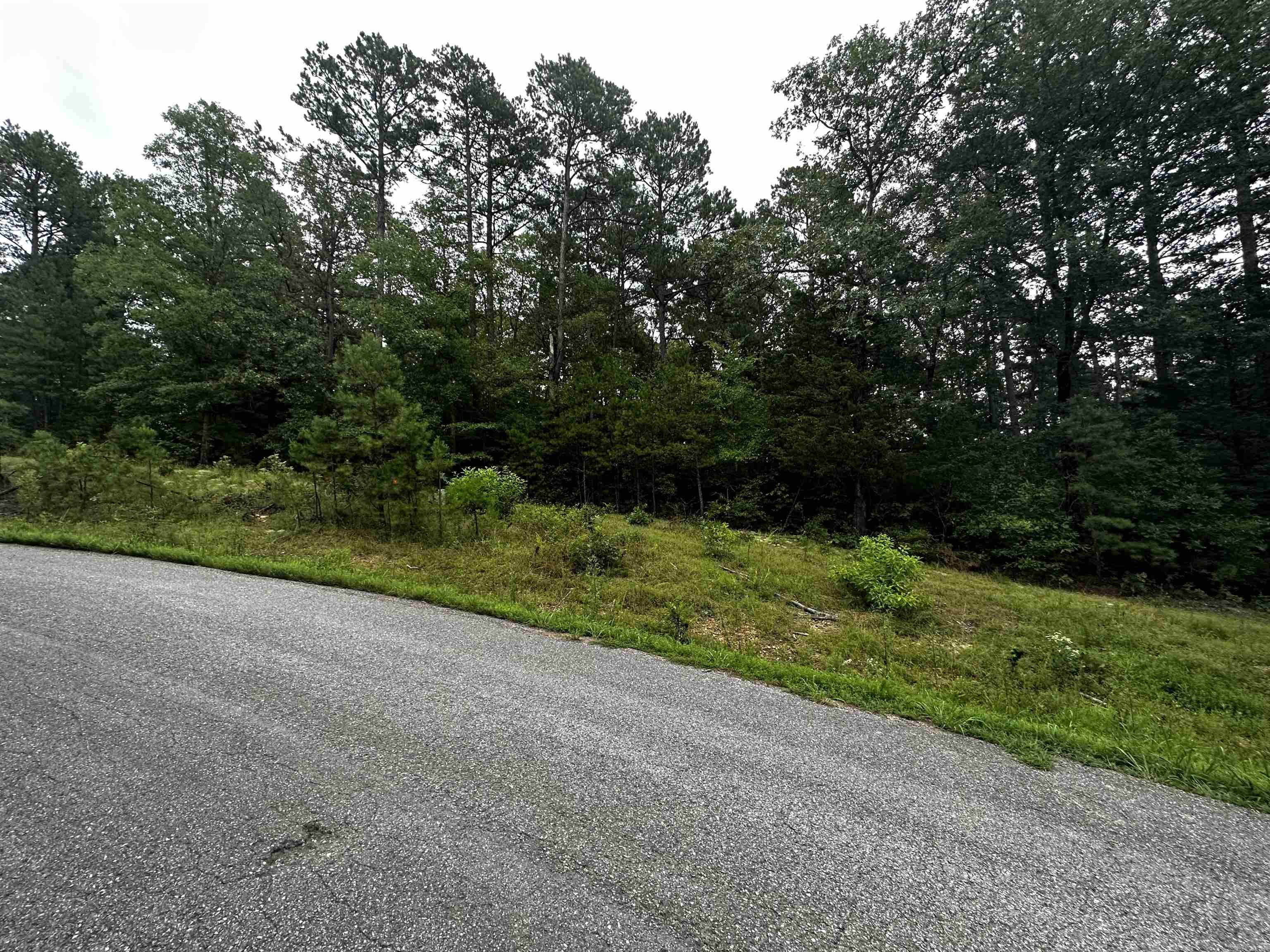 Lot 47  Cobalt Bay Drive  Shirley, AR