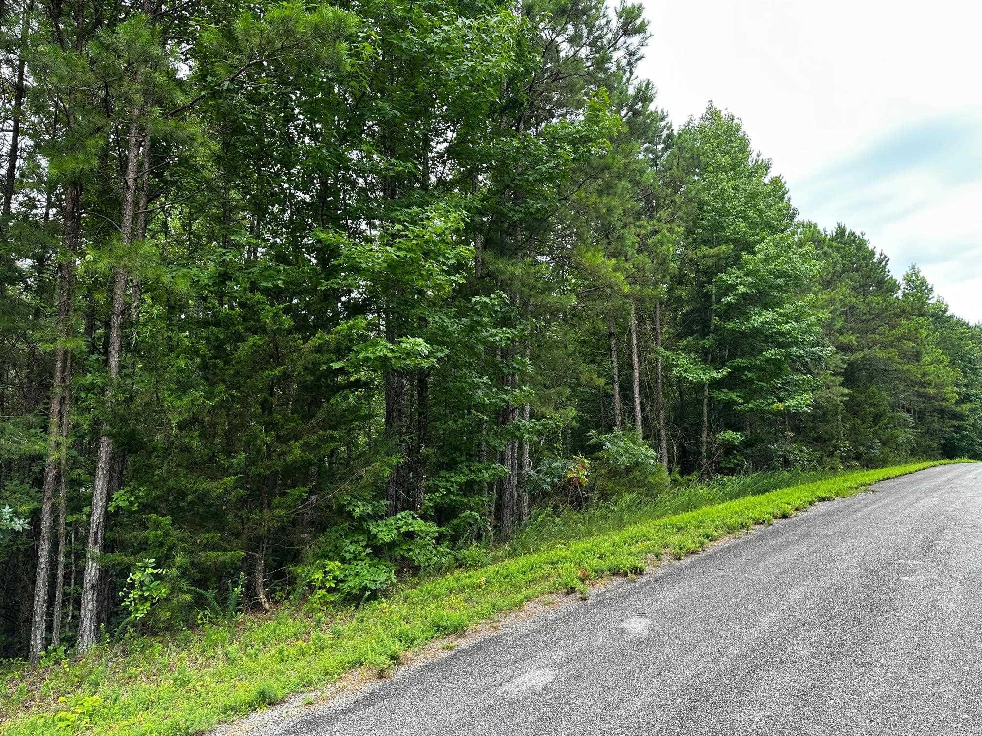 Lot 96  Cobalt Bay Drive  Shirley, AR