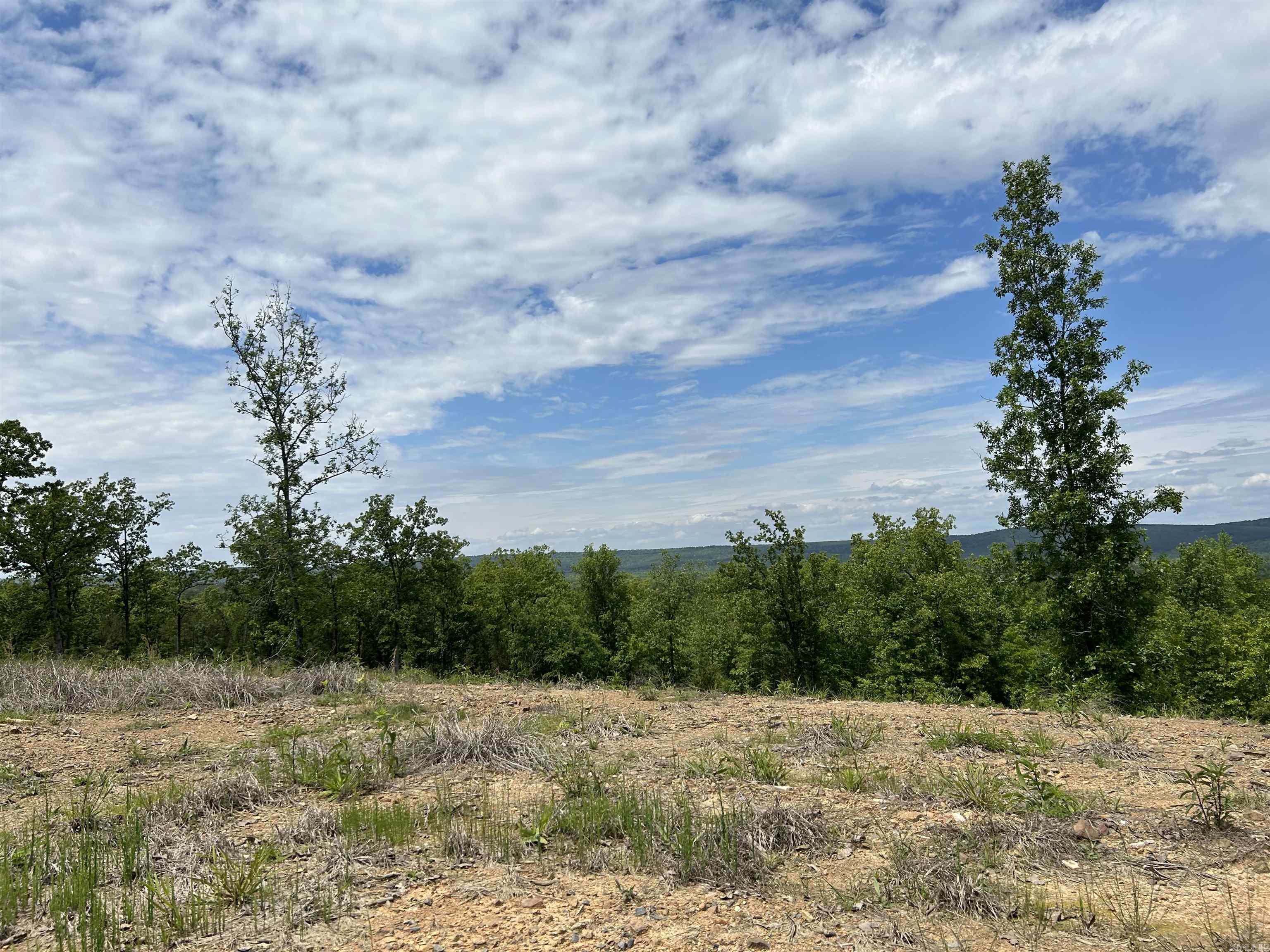 Lot 30  Waterview Drive  Roland, AR