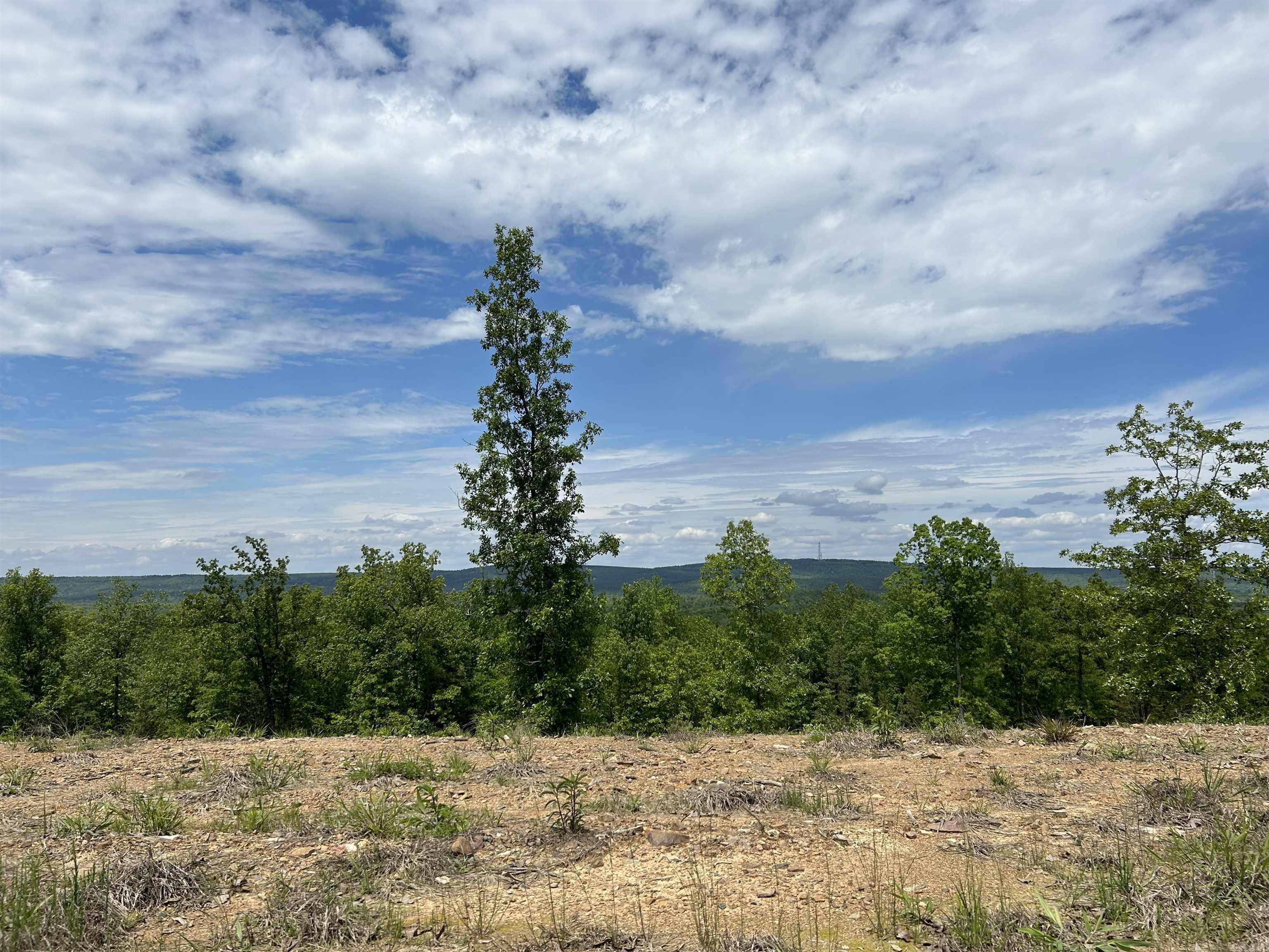 Lot 30  Waterview Drive  Roland, AR