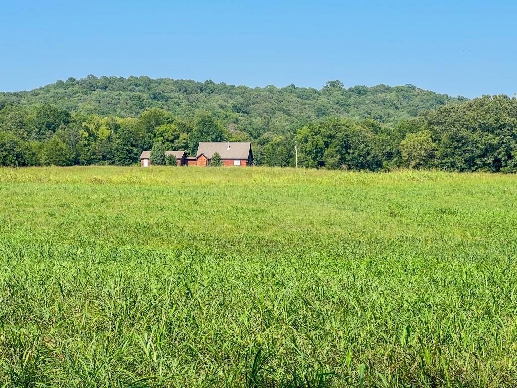 785  Strawberry River Road  Smithville, AR