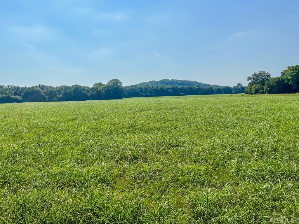 785 Strawberry River Road  Smithville, AR