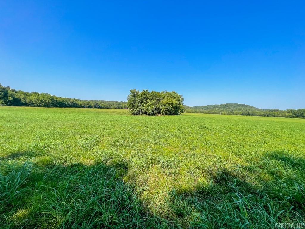 785 Strawberry River Road  Smithville, AR