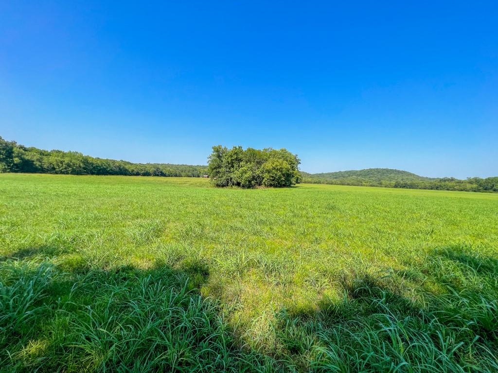 785  Strawberry River Road  Smithville, AR
