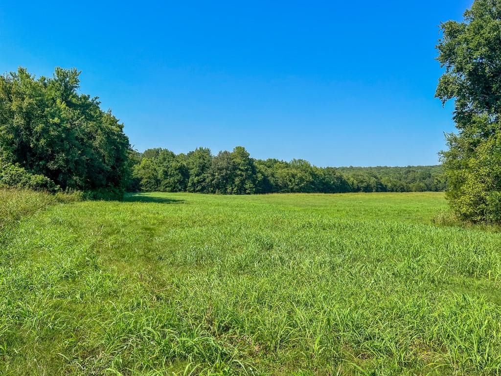 785  Strawberry River Road  Smithville, AR