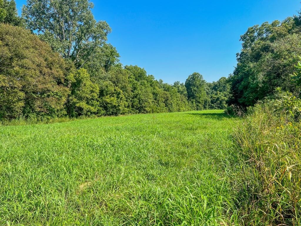 785  Strawberry River Road  Smithville, AR