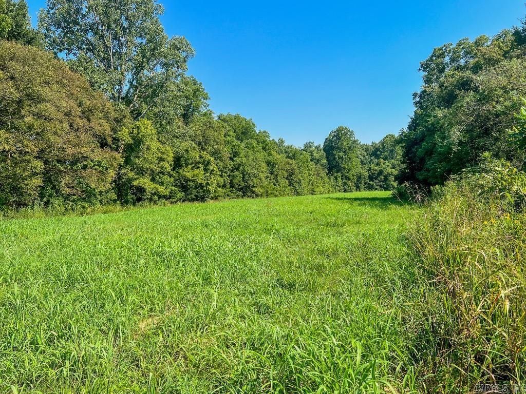 785 Strawberry River Road  Smithville, AR