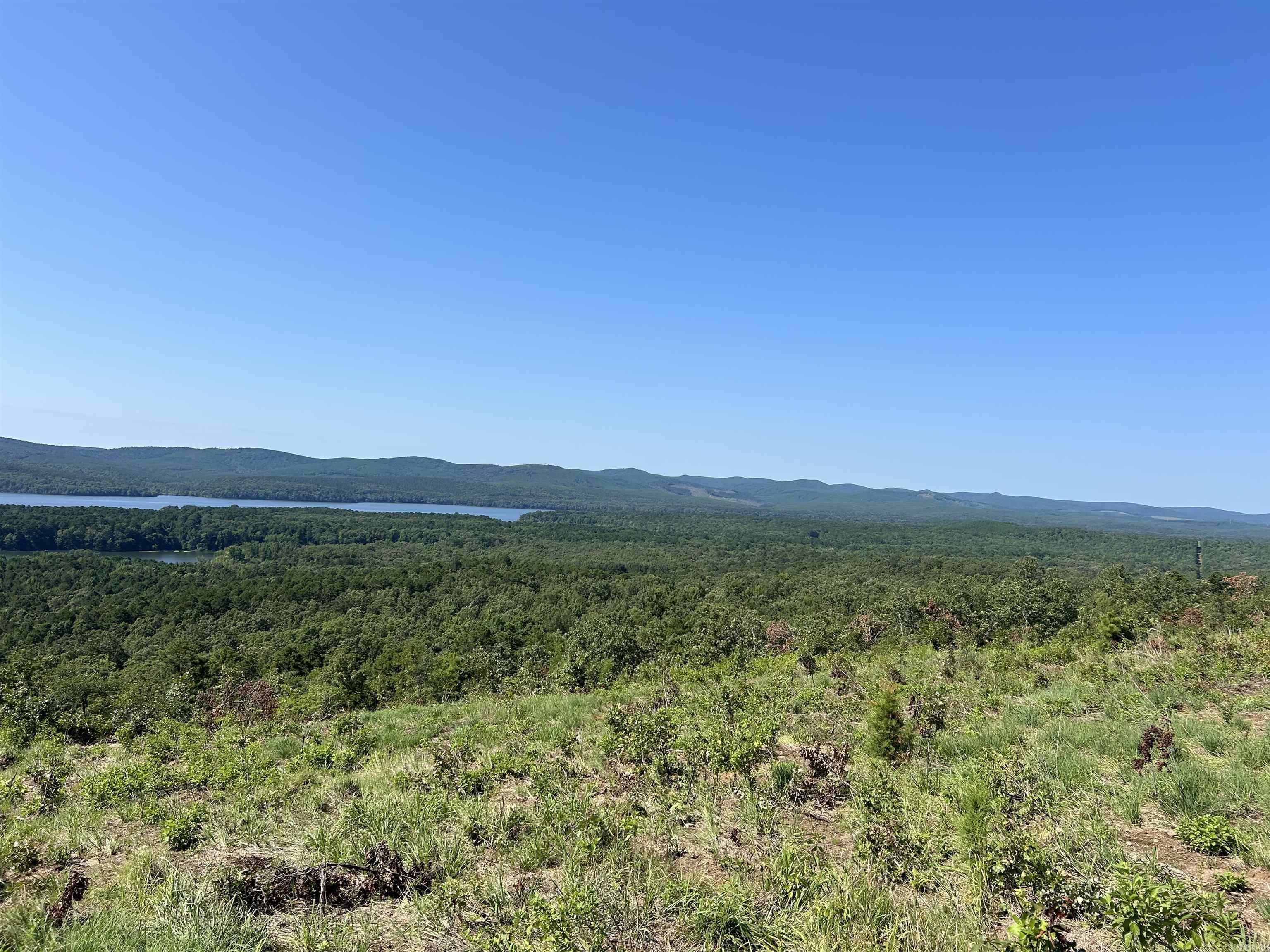 Lot 133  Lakeview South Drive  Roland, AR