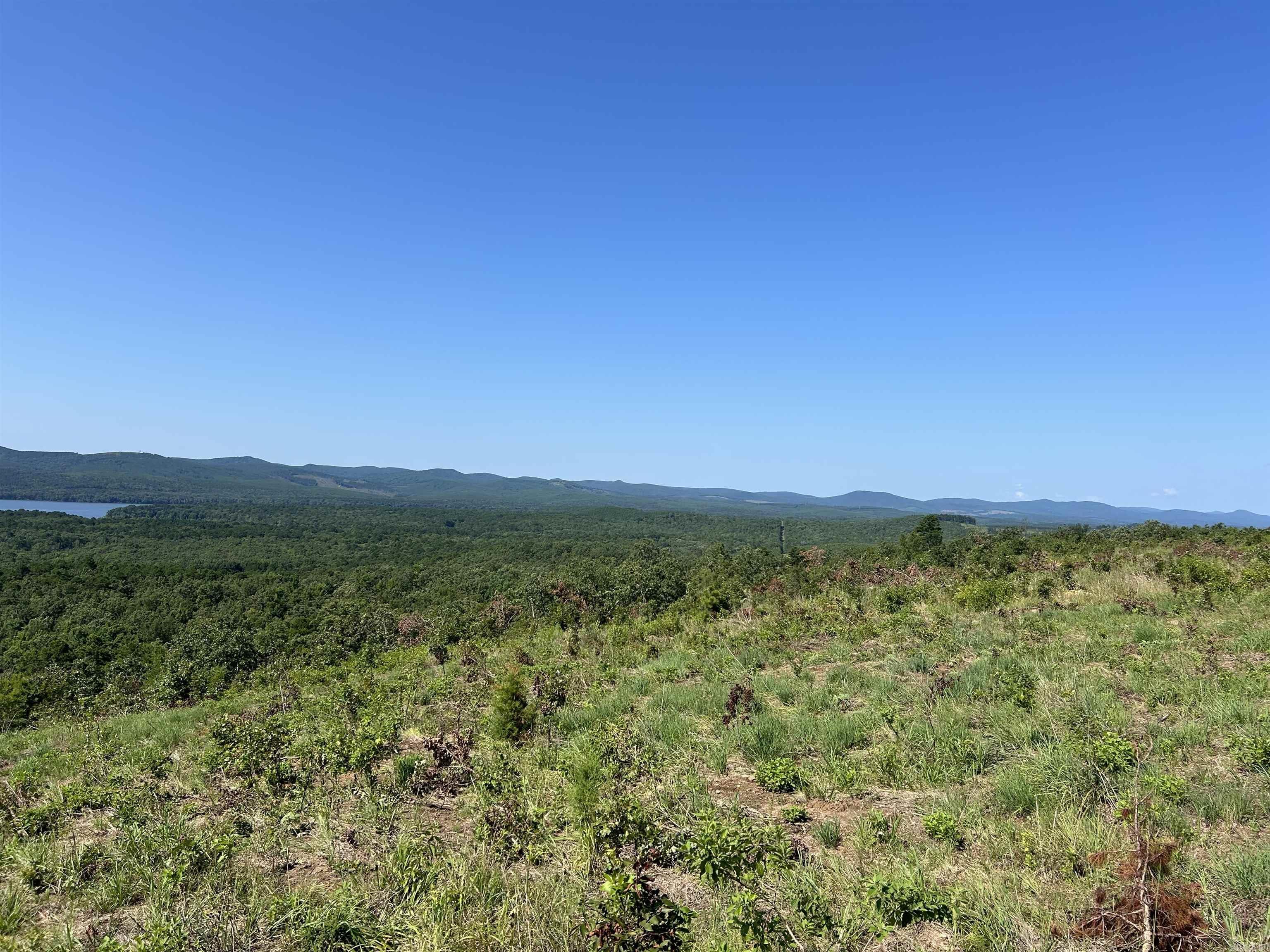 Lot 133  Lakeview South Drive  Roland, AR