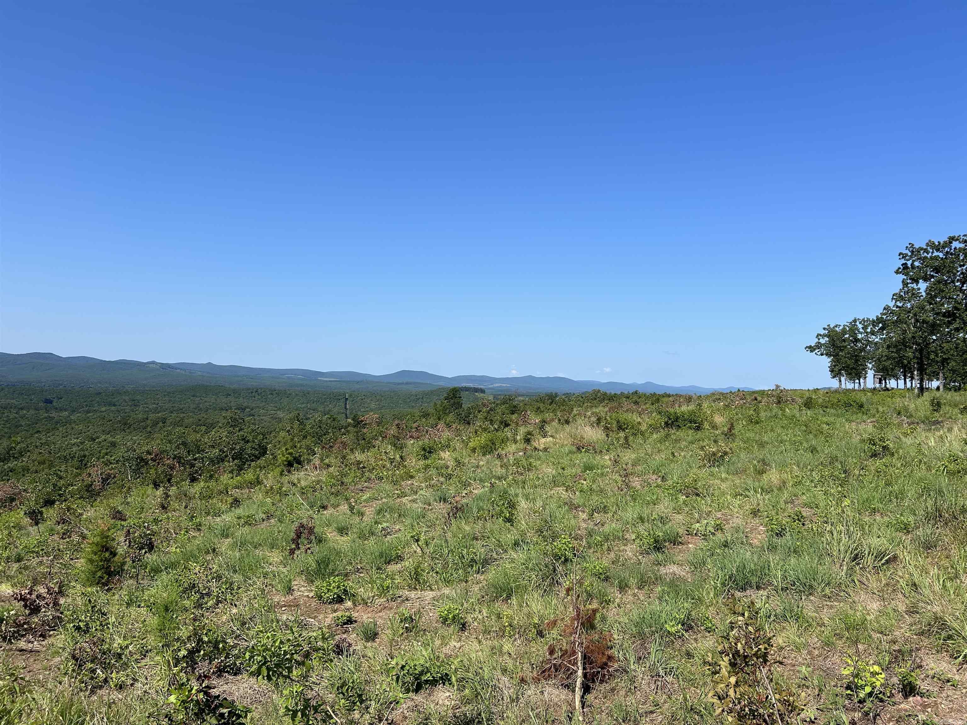 Lot 133  Lakeview South Drive  Roland, AR