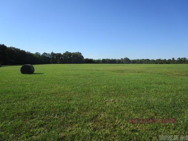 00  Cocklebur  Ward, AR
