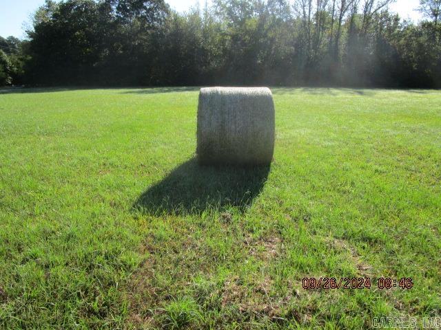 00  Cocklebur  Ward, AR