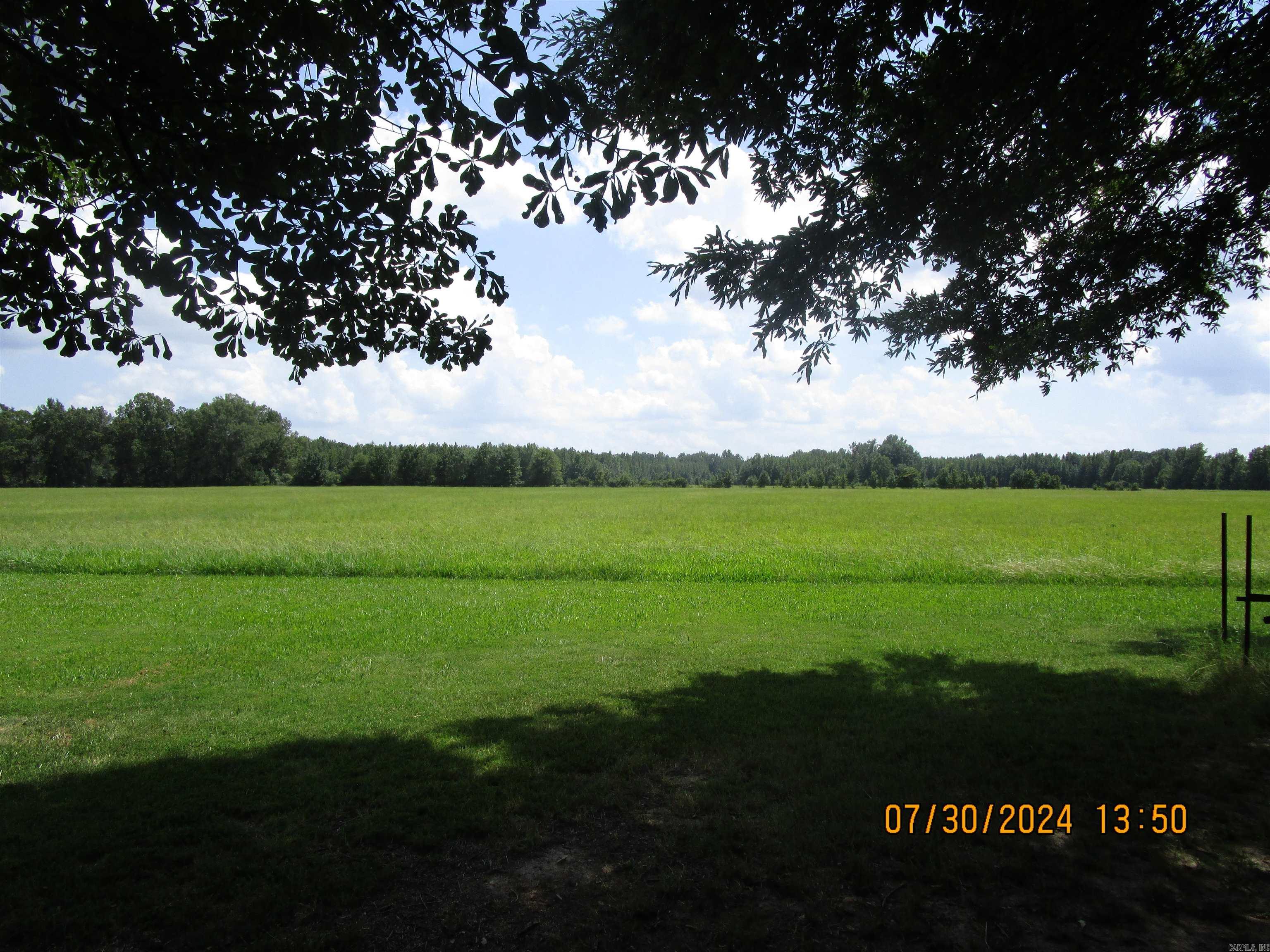 00  Cocklebur  Ward, AR