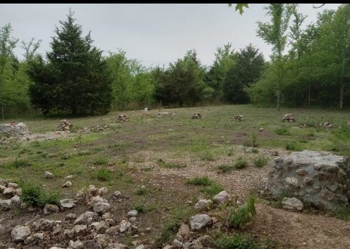 5996  9 Mile Ridge  Hardy, AR