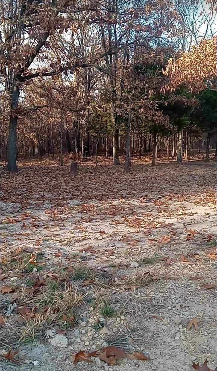 5996  9 Mile Ridge  Hardy, AR