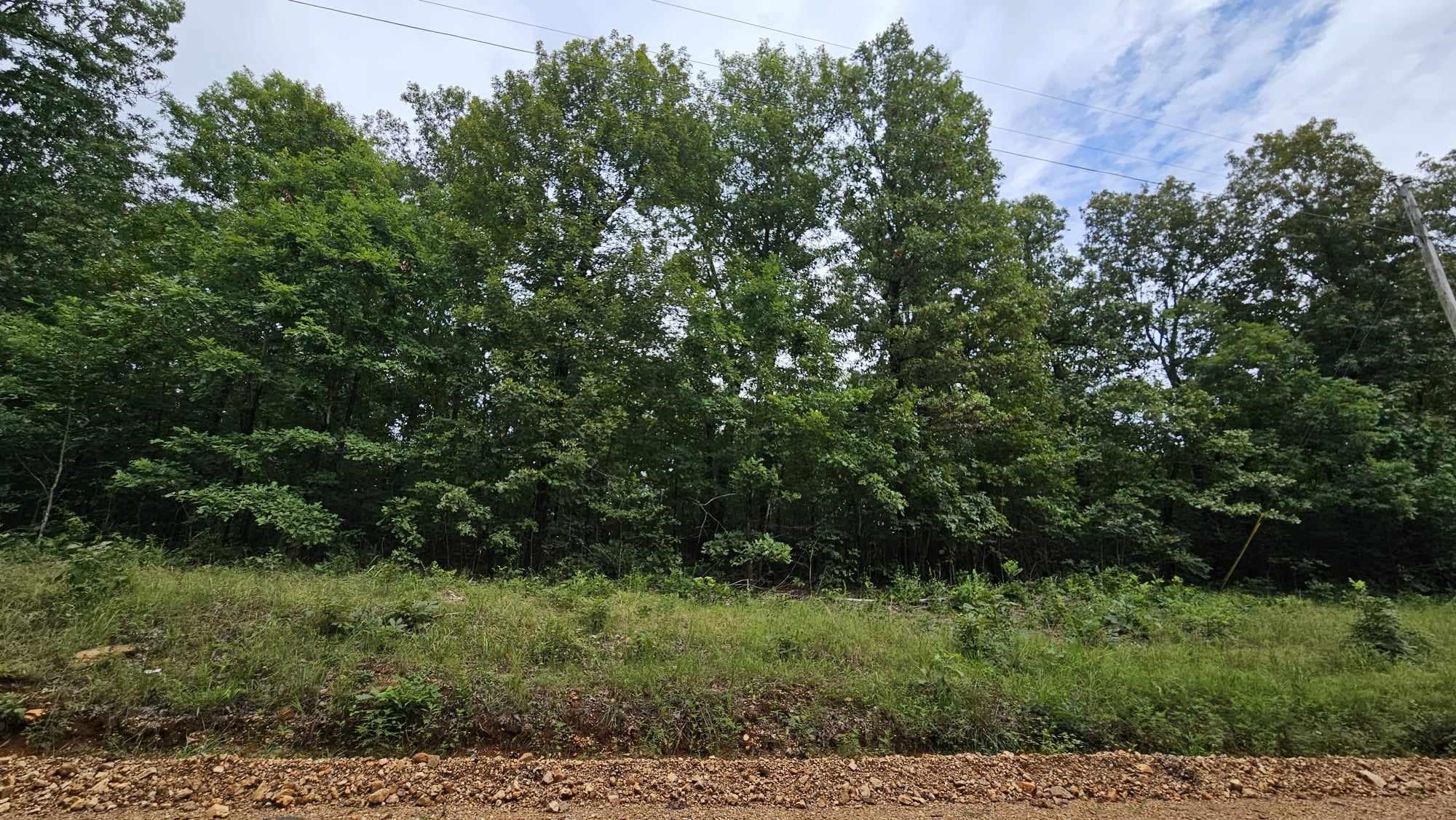 5996  9 Mile Ridge  Hardy, AR