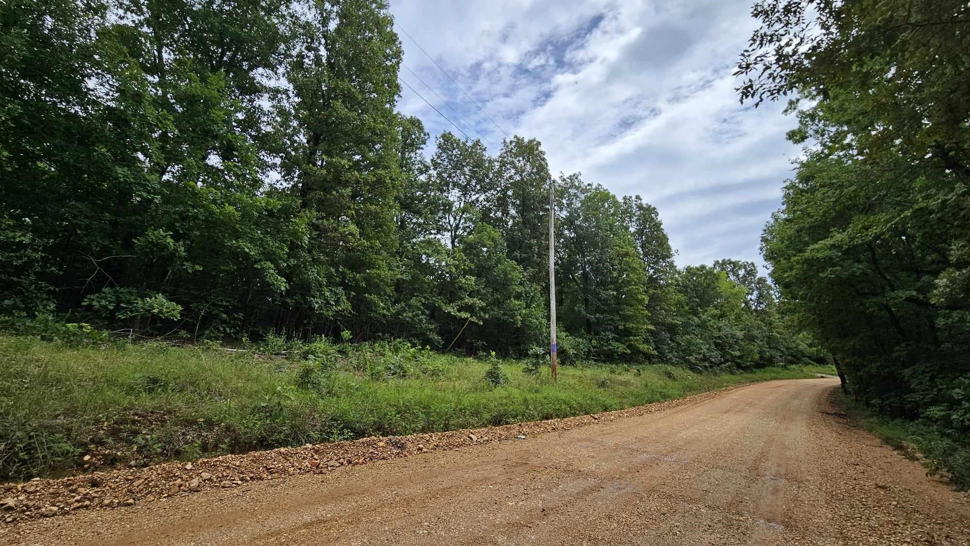 5996  9 Mile Ridge  Hardy, AR
