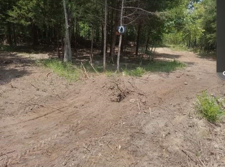 5996  9 Mile Ridge  Hardy, AR