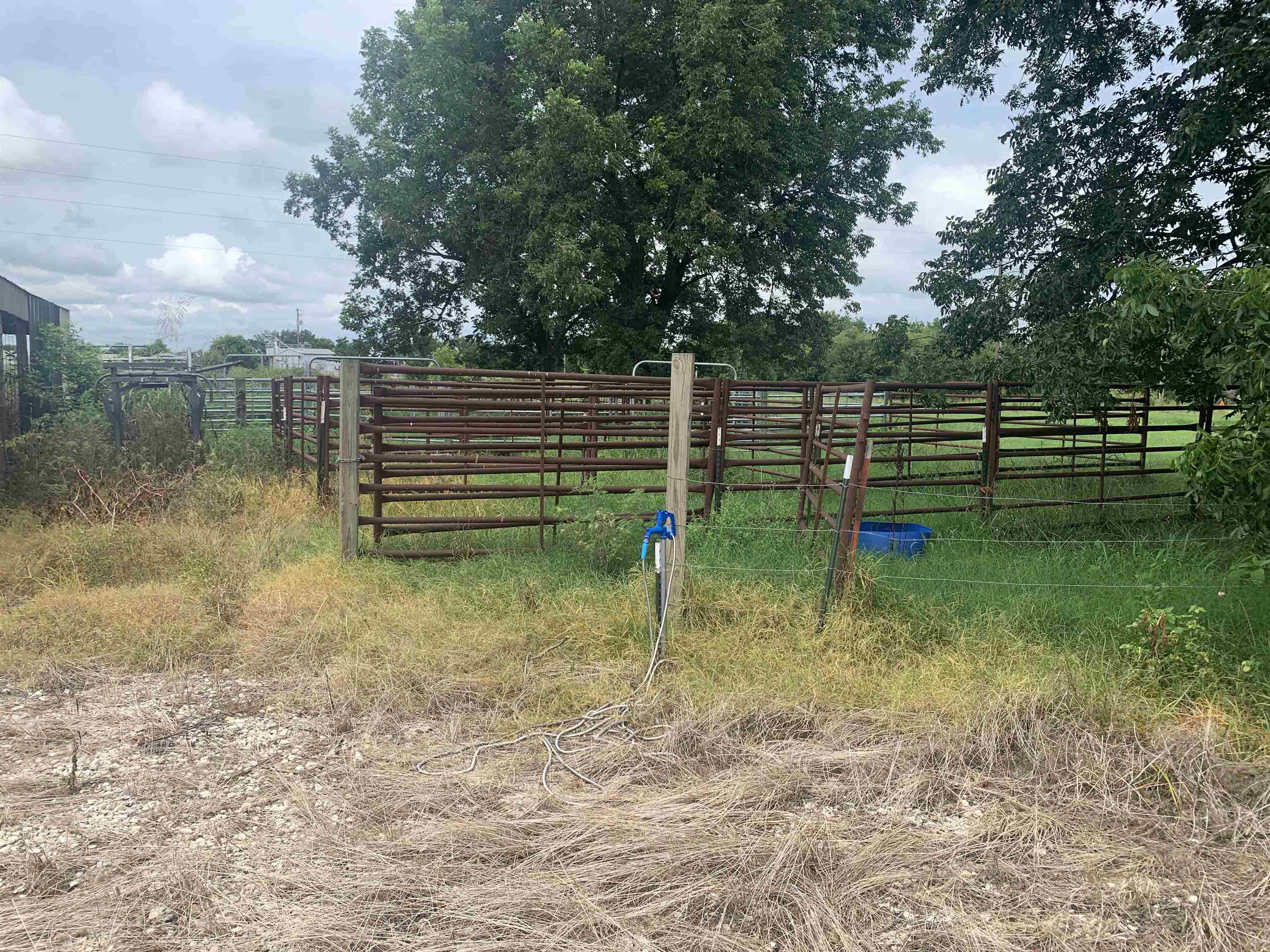 21 Acres W Oak  Walnut Ridge, AR