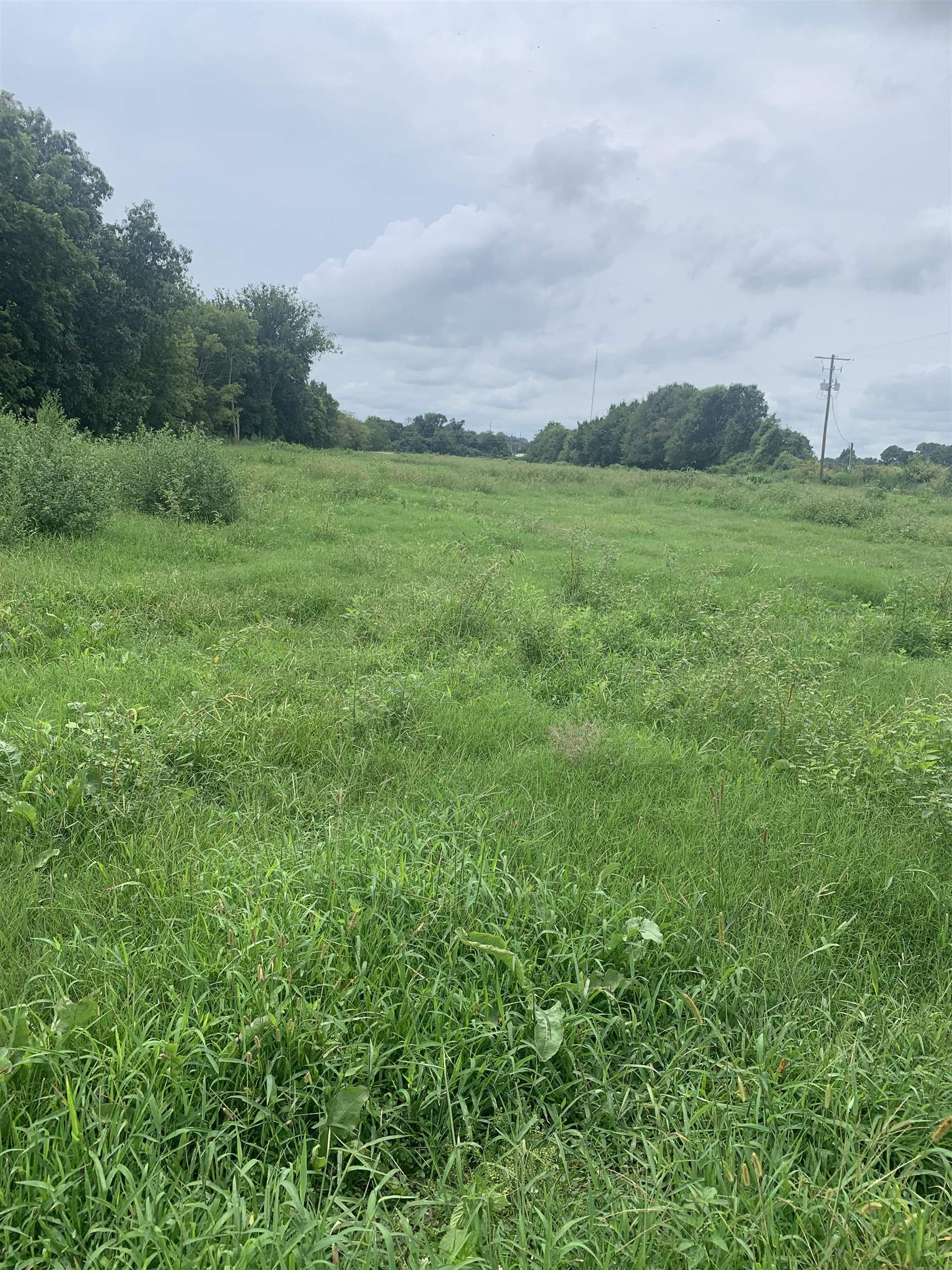 21 Acres W Oak  Walnut Ridge, AR
