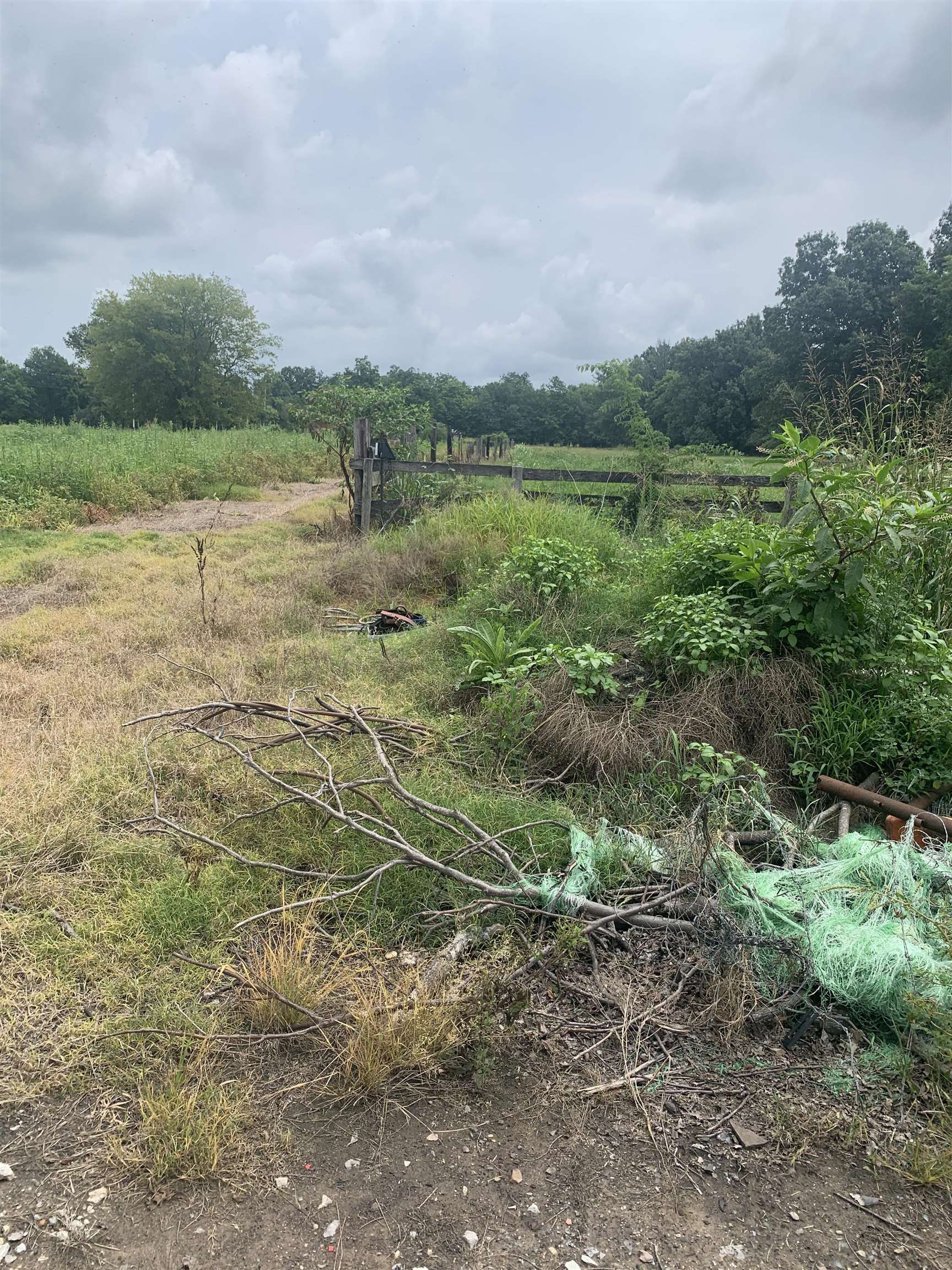 21 Acres W Oak  Walnut Ridge, AR