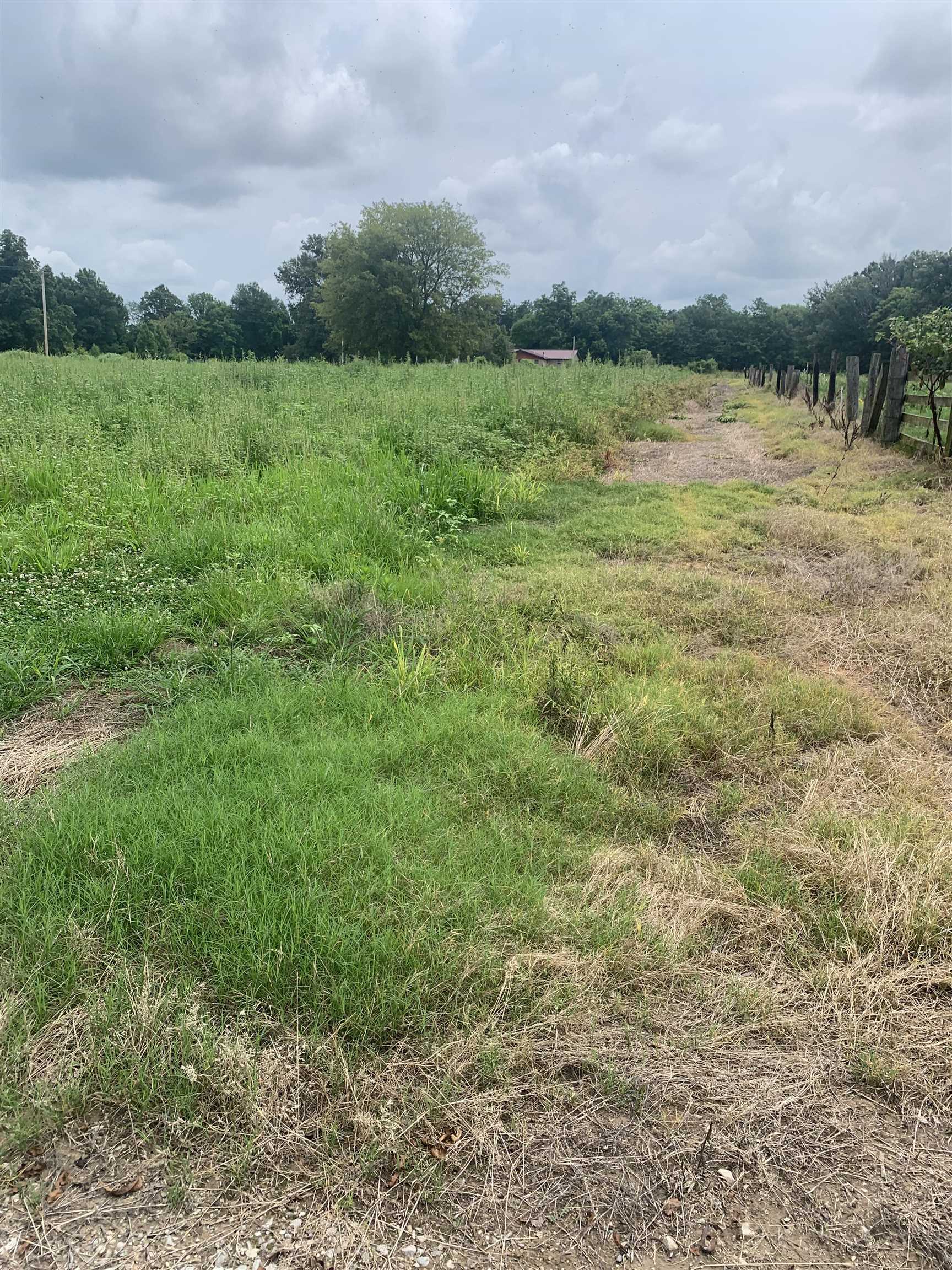 21 Acres W Oak  Walnut Ridge, AR