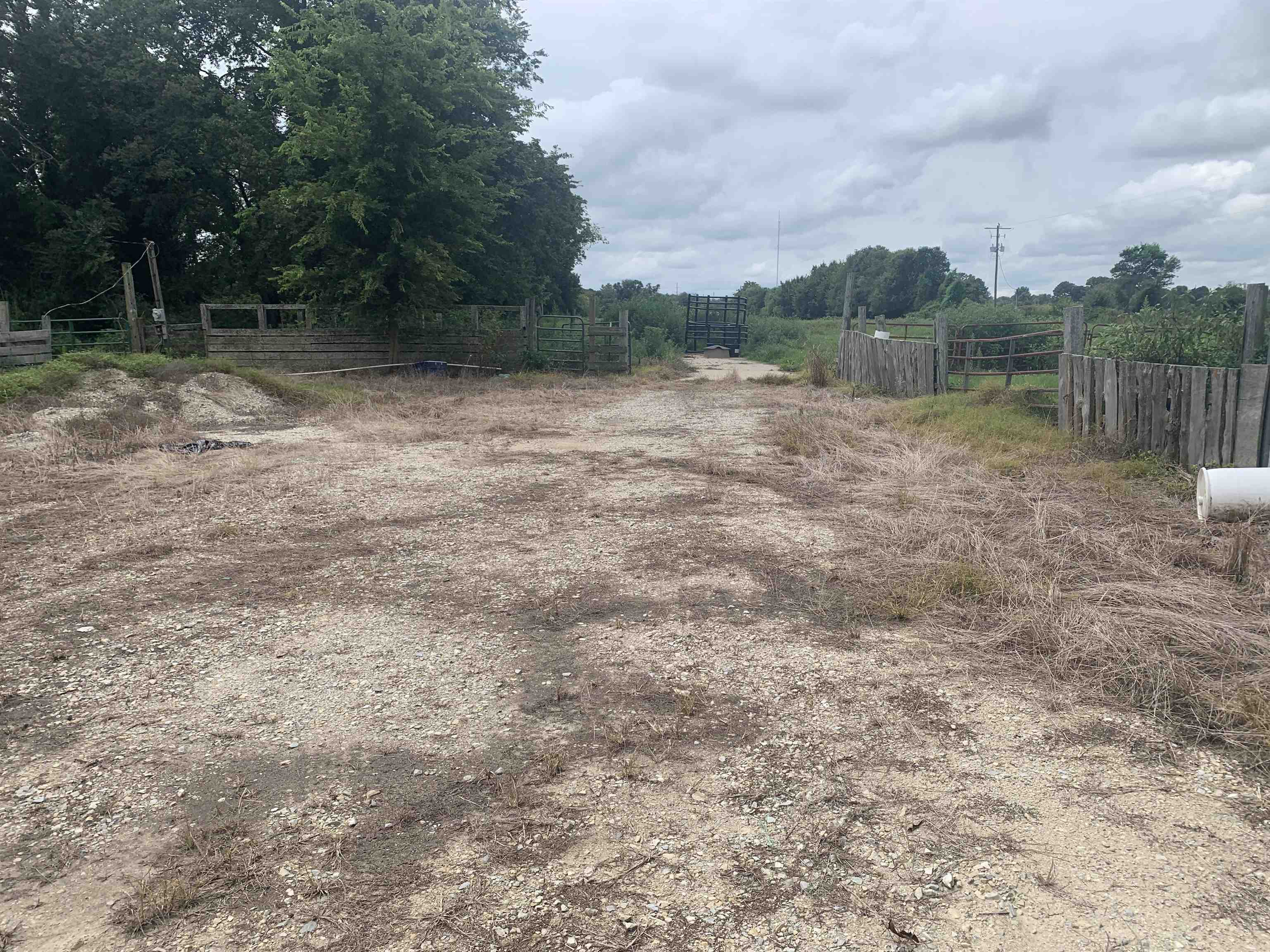 21 Acres W Oak  Walnut Ridge, AR