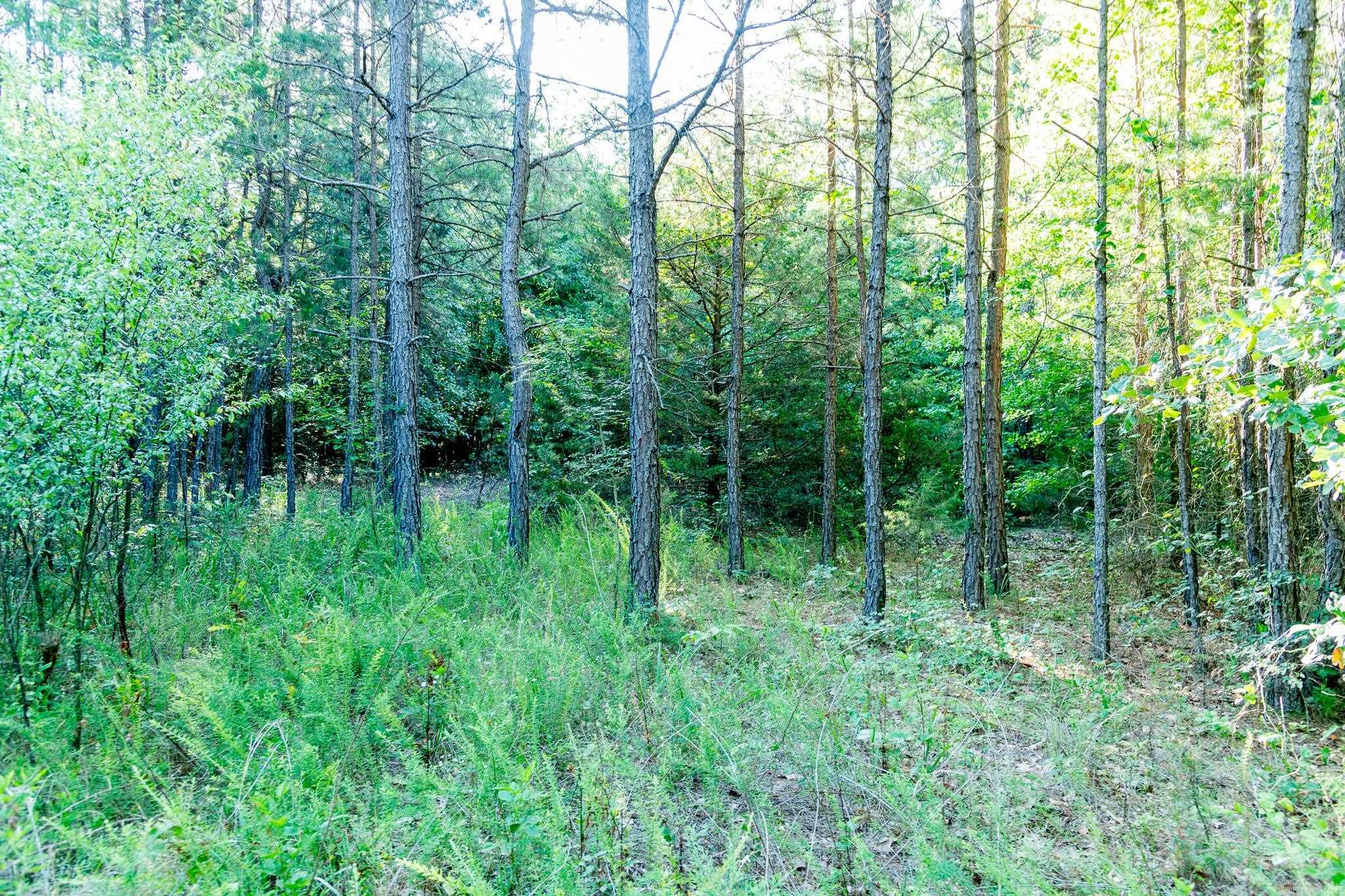 463  HWY 5 South  Rose Bud, AR