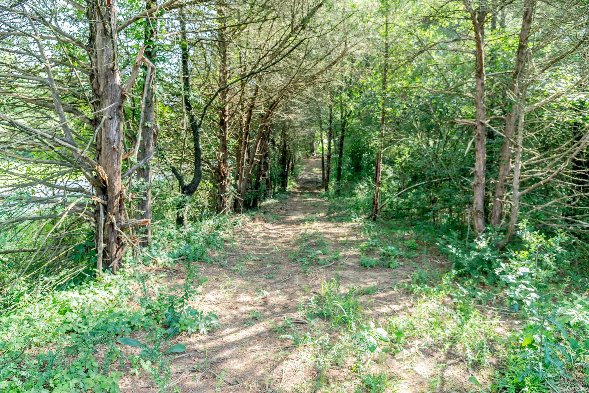 463  HWY 5 South  Rose Bud, AR