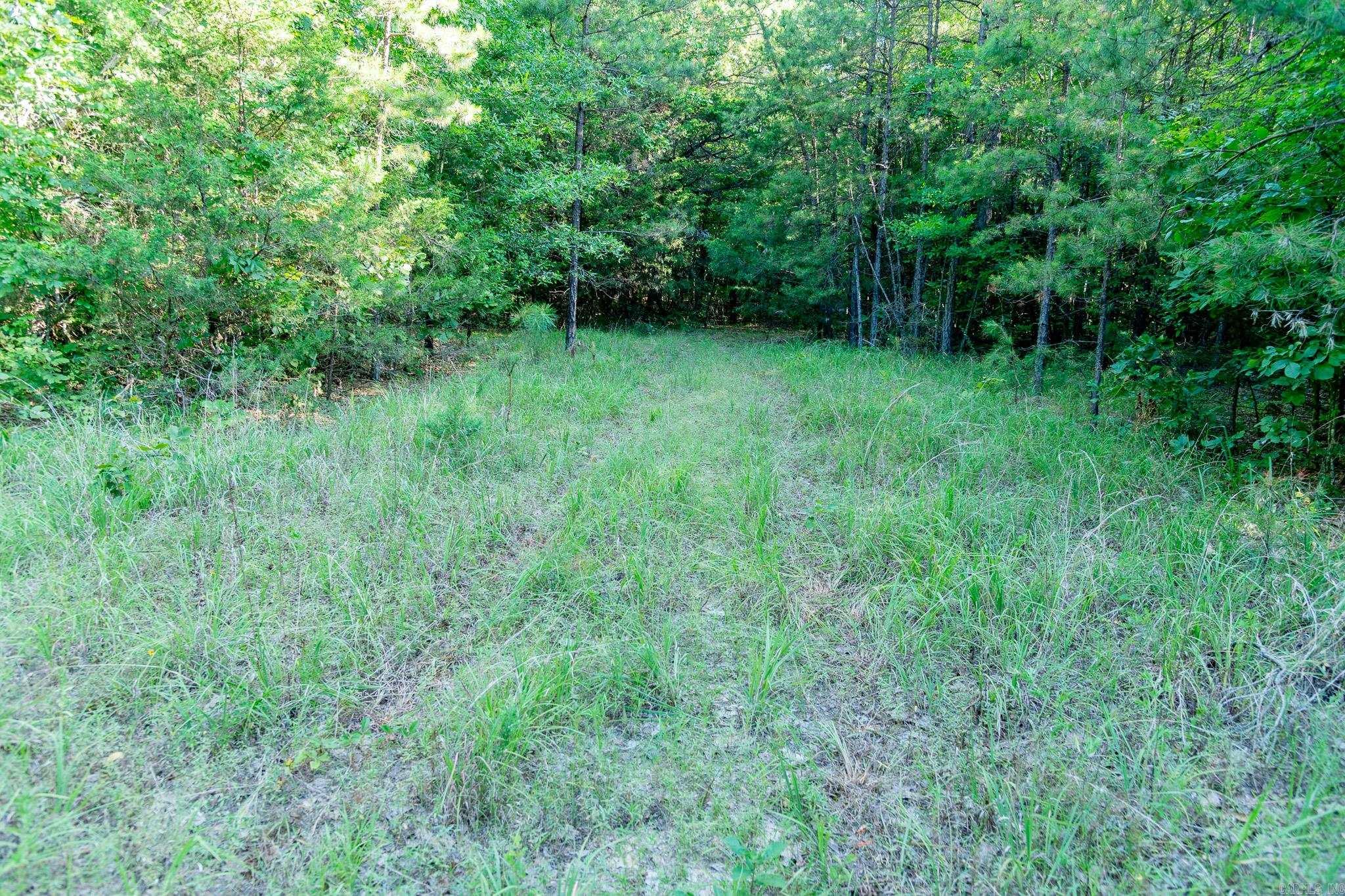463  HWY 5 South  Rose Bud, AR
