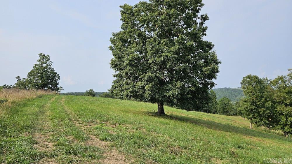 N/A  MC 8118  Lead Hill, AR