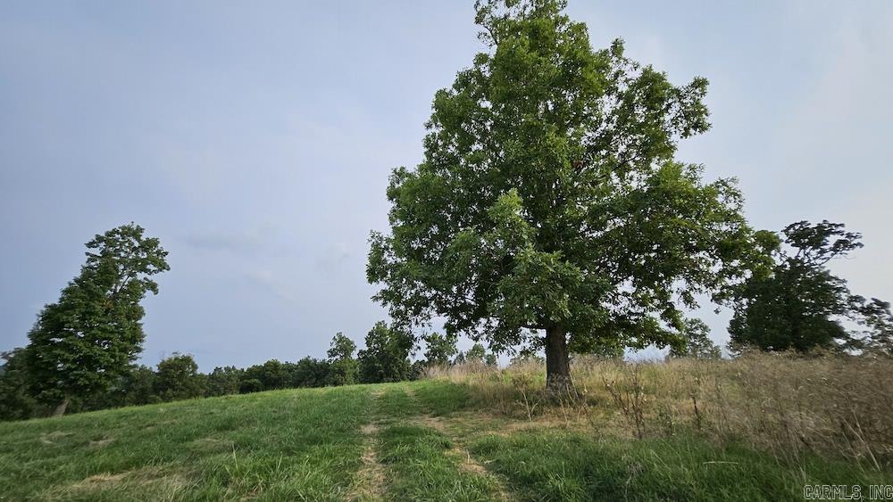 N/A  MC 8118  Lead Hill, AR