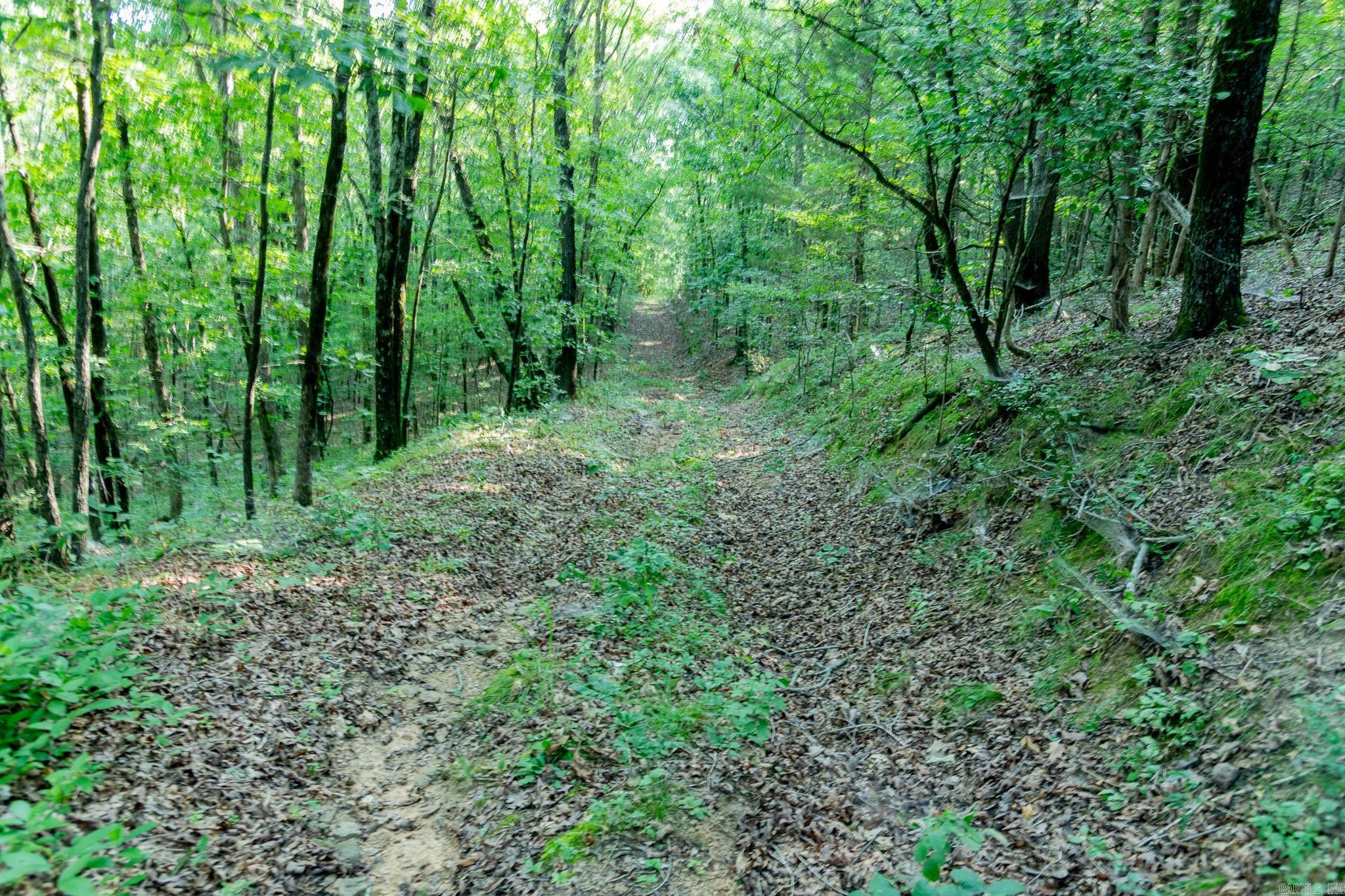 463  HWY 5 South  Rose Bud, AR