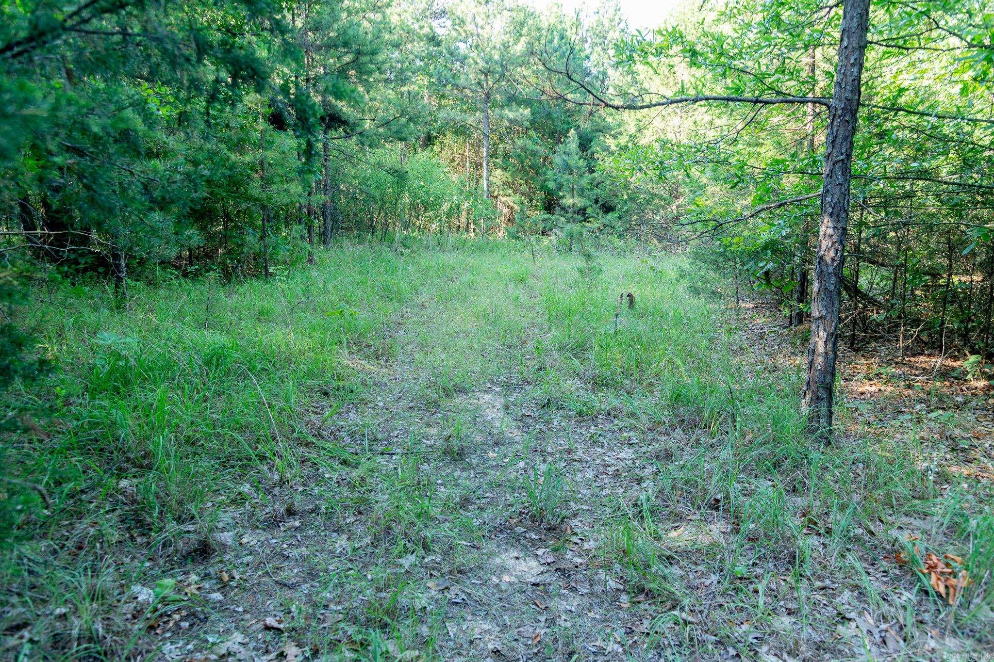 463  HWY 5 South  Rose Bud, AR