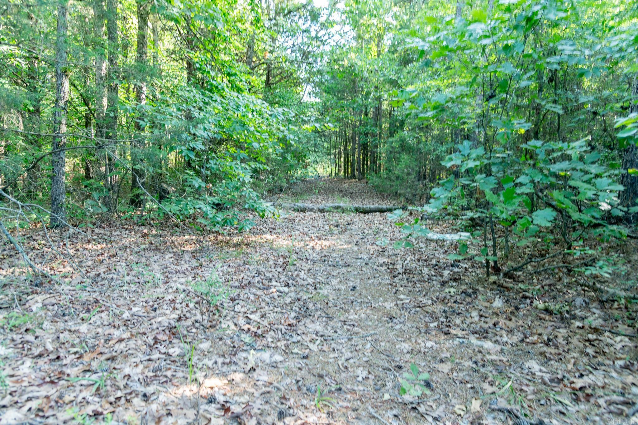 463  HWY 5 South  Rose Bud, AR