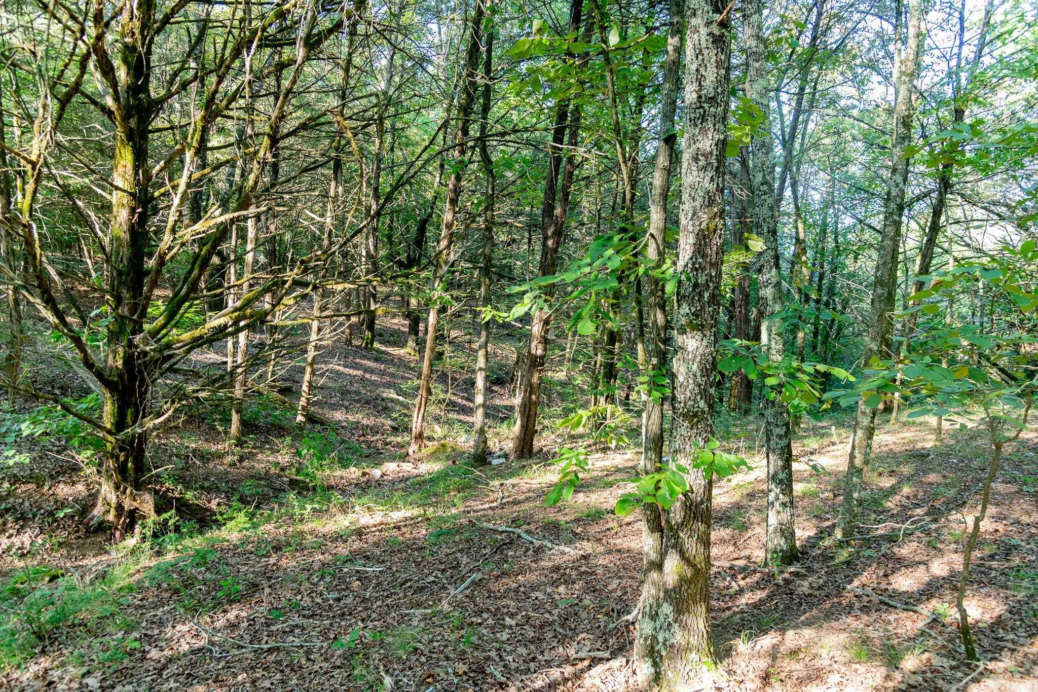 463  HWY 5 South  Rose Bud, AR