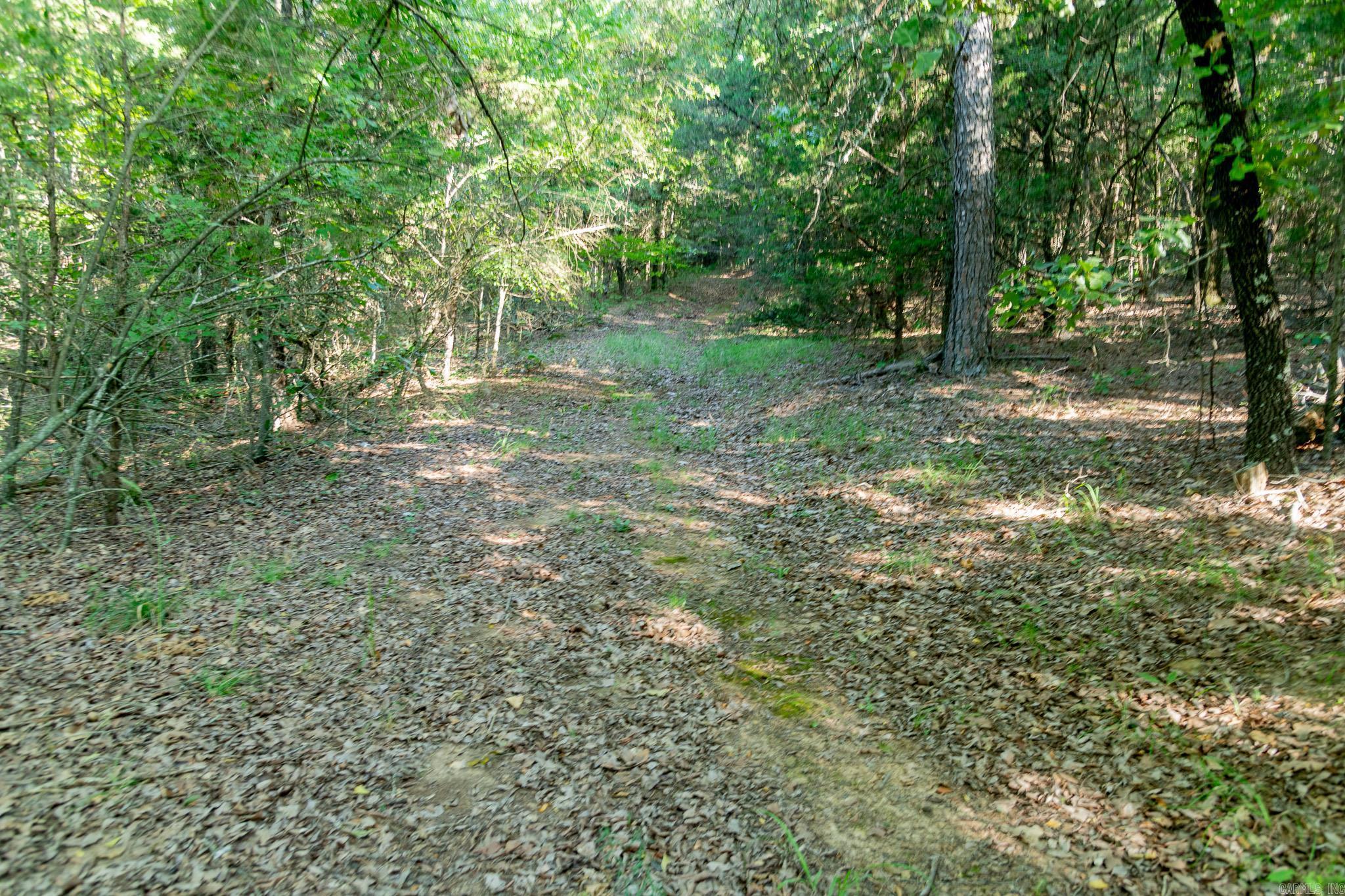 463  HWY 5 South  Rose Bud, AR