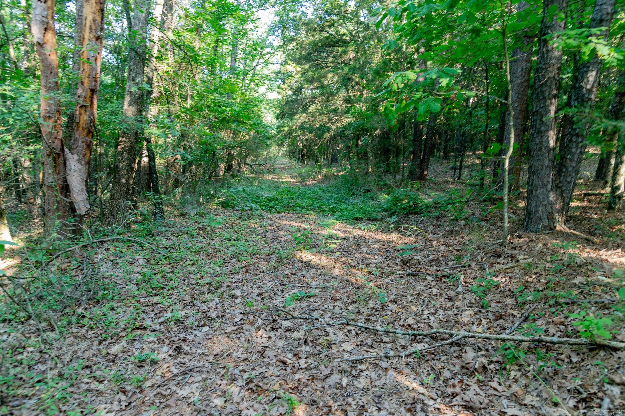 463  HWY 5 South  Rose Bud, AR