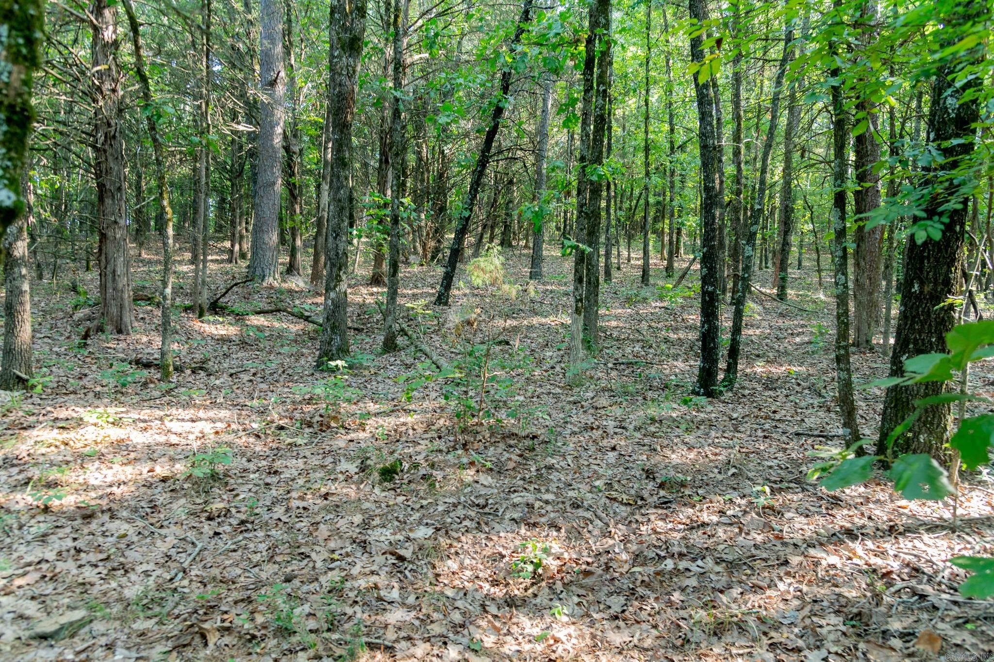 463  HWY 5 South  Rose Bud, AR