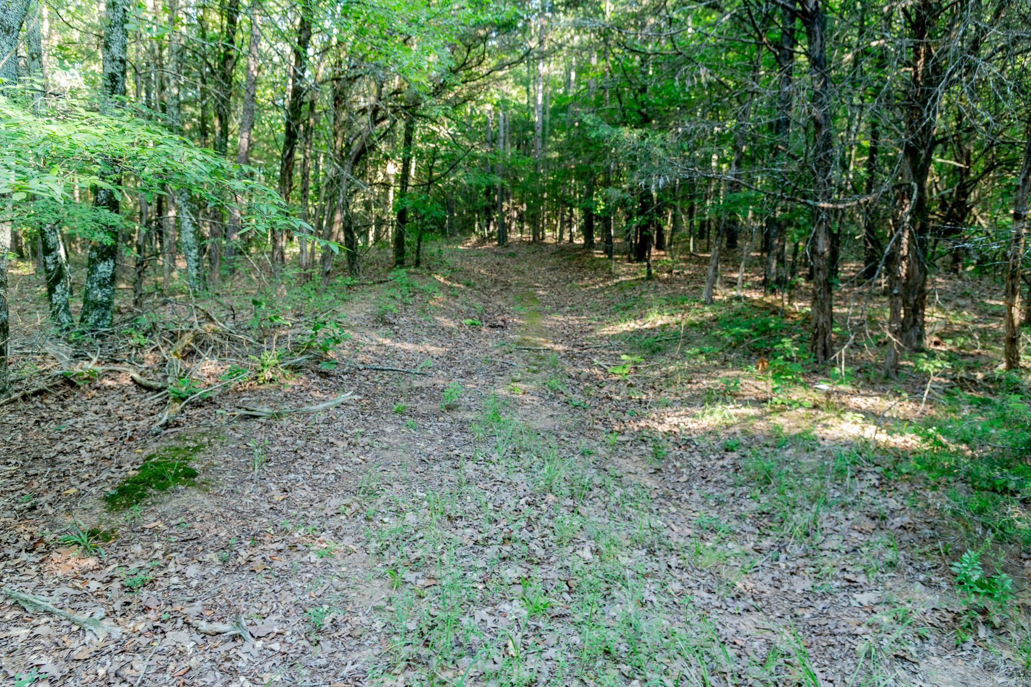 463  HWY 5 South  Rose Bud, AR