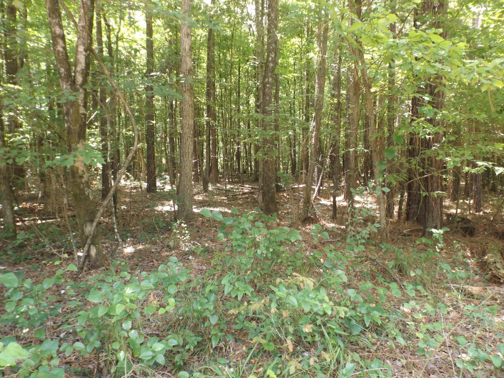 TBD W TBD. BRUCE TRAIL, White Hall, Arkansas 71602  White Hall, AR