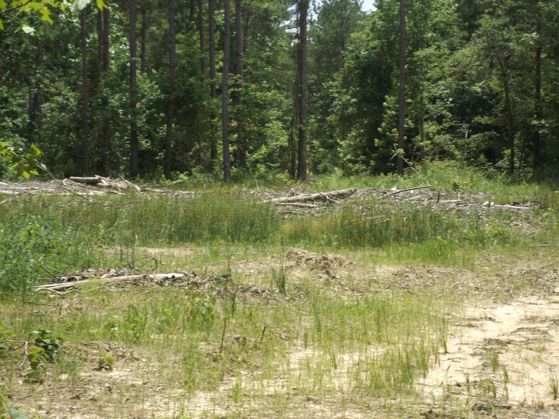 TBD W TBD. BRUCE TRAIL, White Hall, Arkansas 71602  White Hall, AR