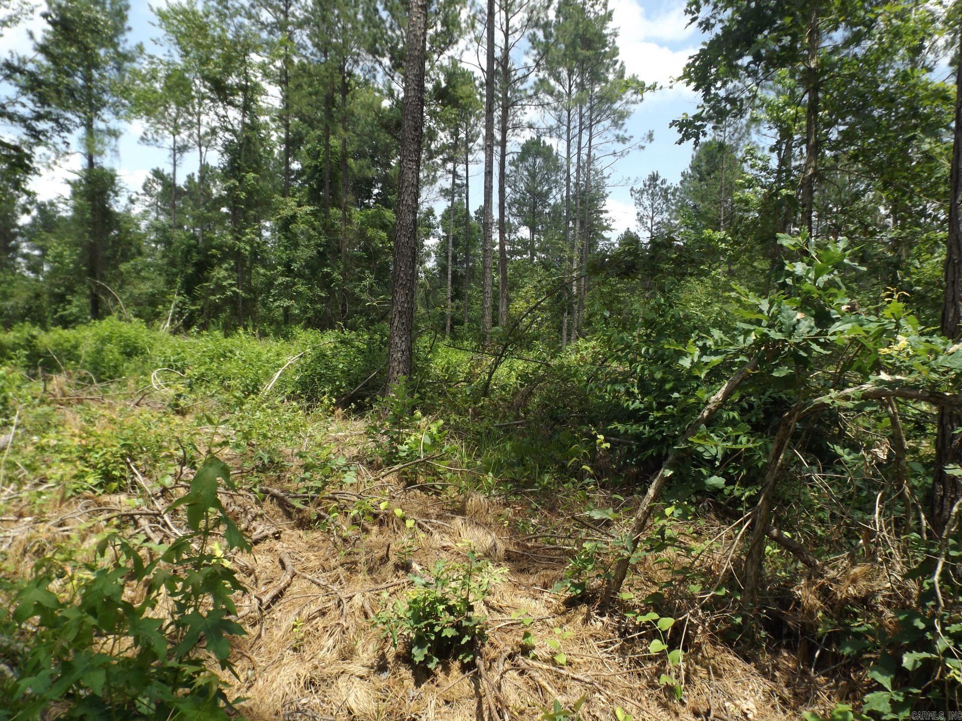 TBD W TBD. BRUCE TRAIL, White Hall, Arkansas 71602  White Hall, AR
