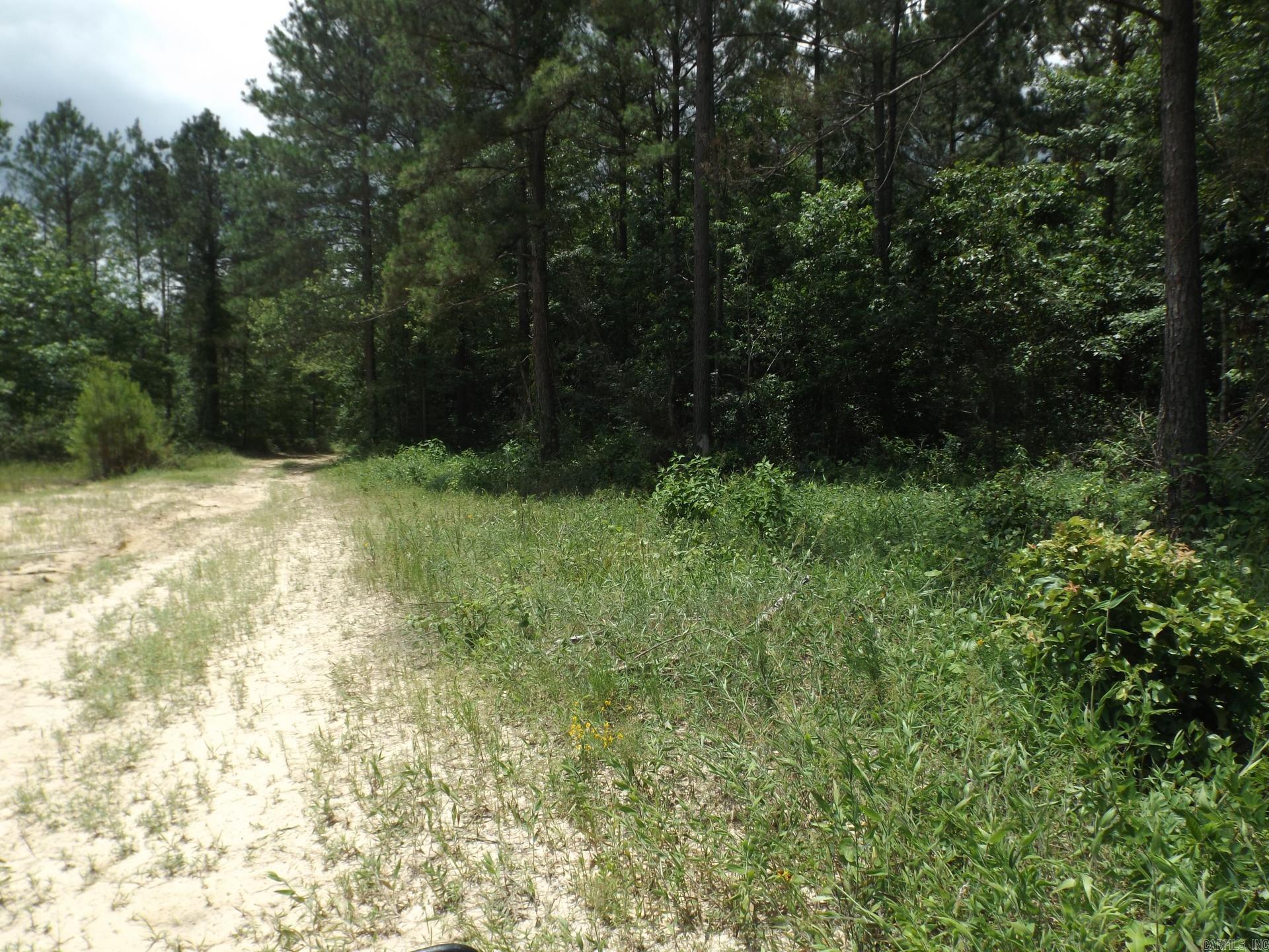 TBD W TBD. BRUCE TRAIL, White Hall, Arkansas 71602  White Hall, AR