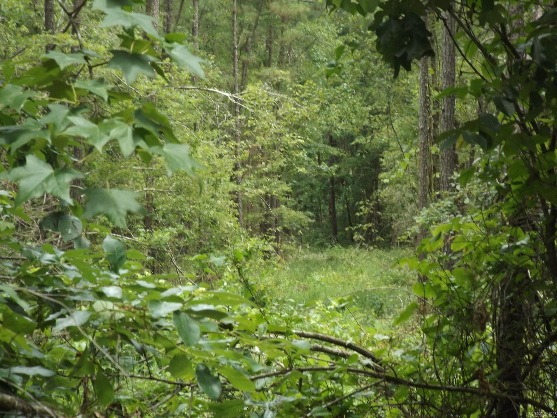 TBD W TBD. BRUCE TRAIL, White Hall, Arkansas 71602  White Hall, AR