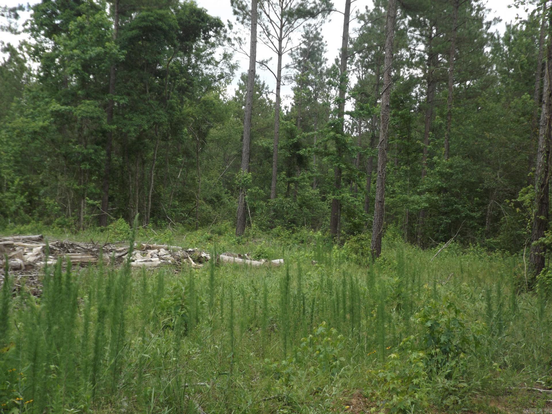 TBD W TBD. BRUCE TRAIL, White Hall, Arkansas 71602  White Hall, AR