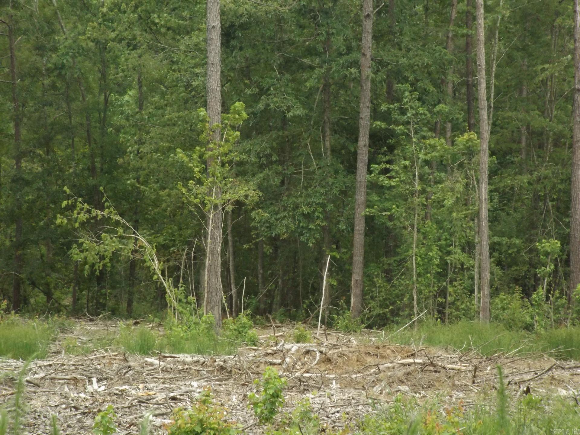 TBD W TBD. BRUCE TRAIL, White Hall, Arkansas 71602  White Hall, AR