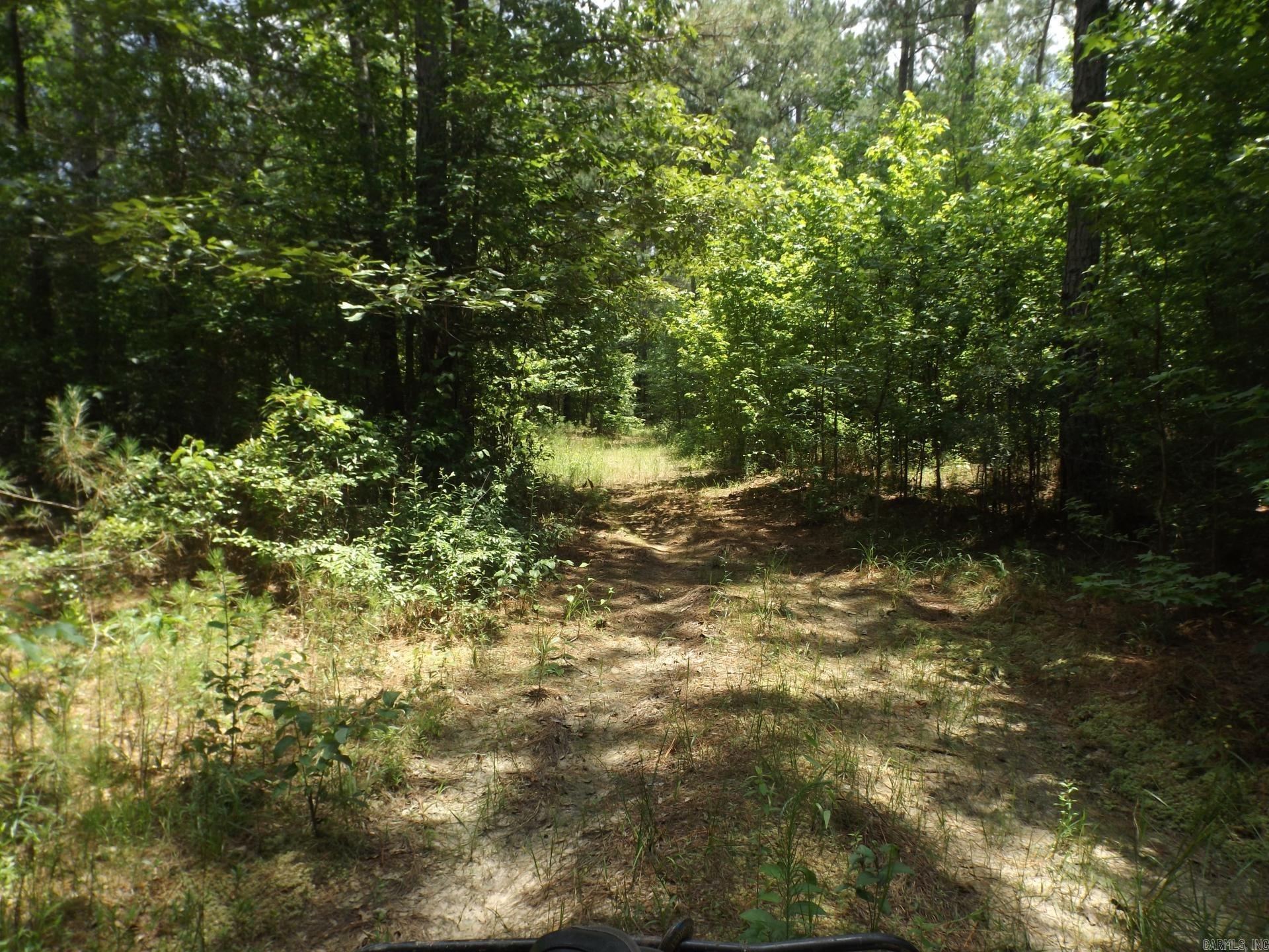 TBD W TBD. BRUCE TRAIL, White Hall, Arkansas 71602  White Hall, AR