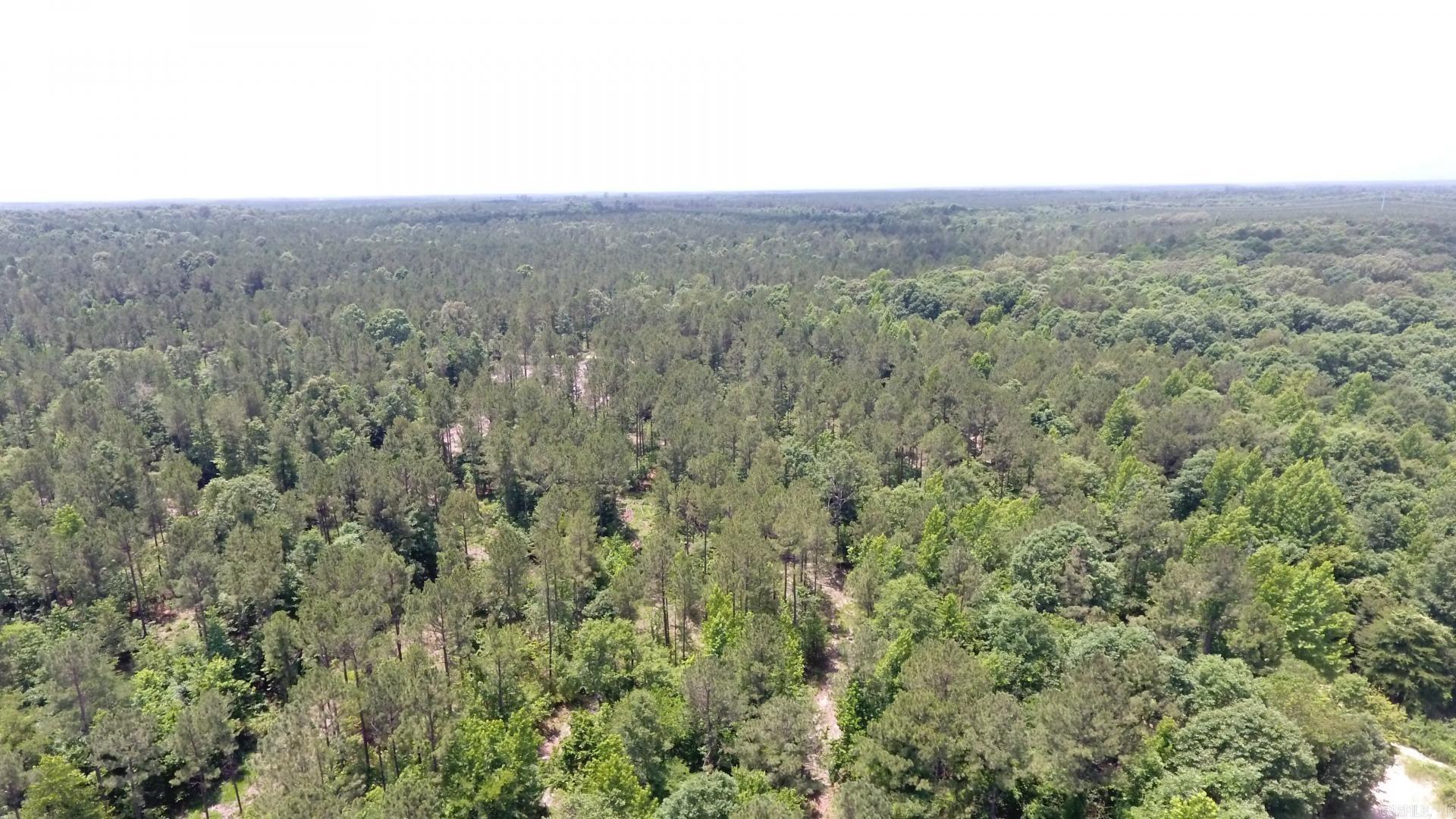 TBD W TBD. BRUCE TRAIL, White Hall, Arkansas 71602  White Hall, AR