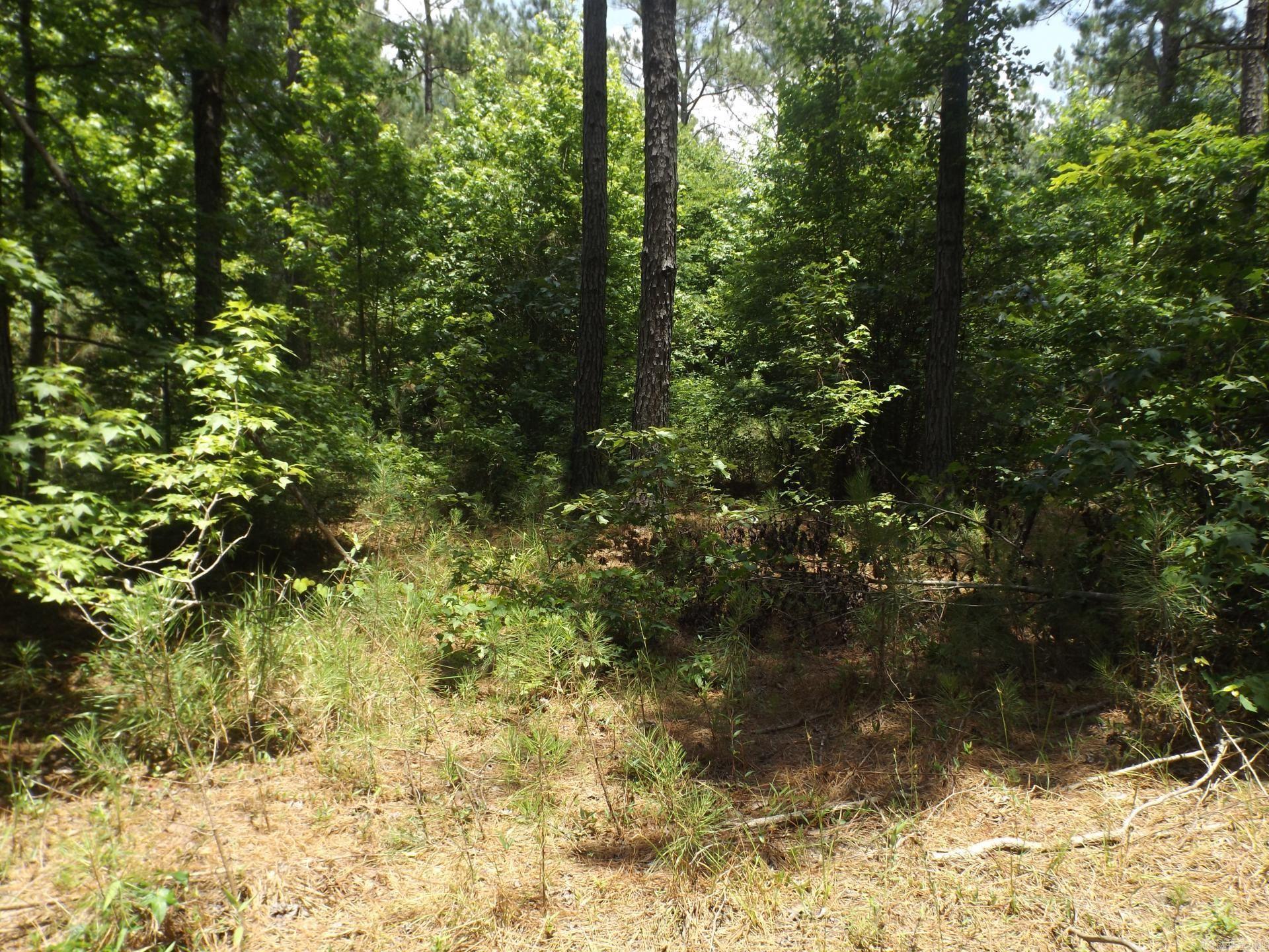 TBD W TBD. BRUCE TRAIL, White Hall, Arkansas 71602  White Hall, AR